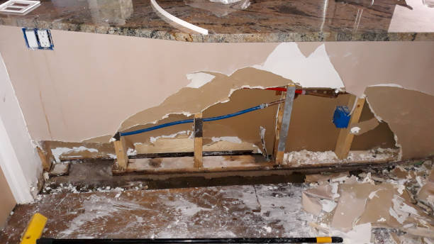 Best Ceiling water damage repair  in Pinedale, WY