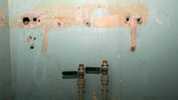 Best 24/7 water damage repair  in Pinedale, WY