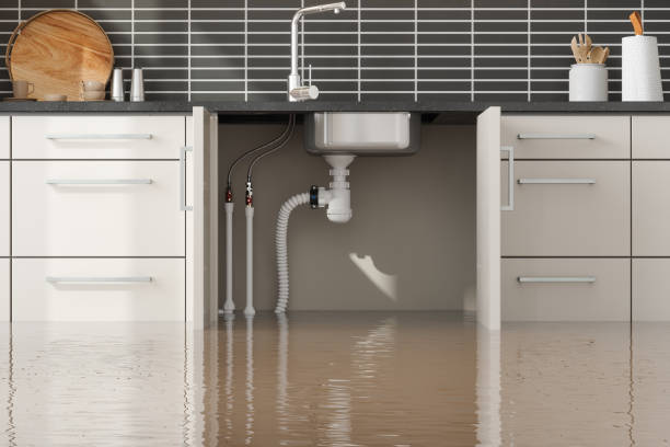 Best Flooded house restoration  in Pinedale, WY